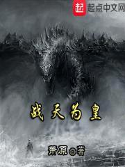 战天为皇封面