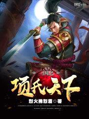 三国之项氏天下封面