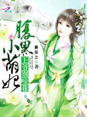 腹黑小萌妃：王爷，别咬我封面