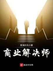 商业解决师封面