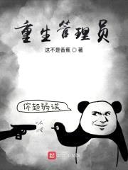 重生管理员封面