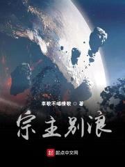 宗主别浪封面