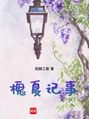 槐夏记事封面