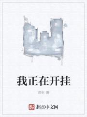 我正在开挂封面