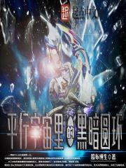 平行宇宙里的黑暗圆环封面
