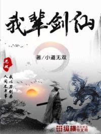 我辈剑仙封面