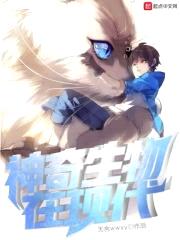 神奇生物在现代封面