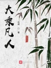 大乘凡人封面