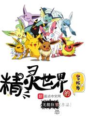 精灵世界的冒险家封面