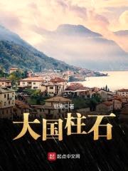 大国柱石封面