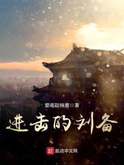 进击的刘备封面