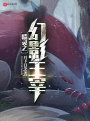 精灵之幻影主宰封面
