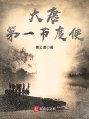 大唐第一节度使封面