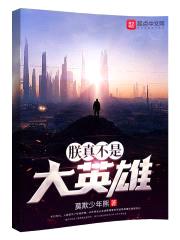 朕真不是大英雄封面