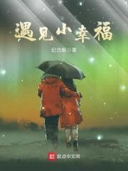 遇见小幸福封面