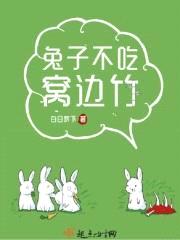 兔子不吃窝边竹封面