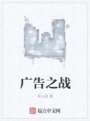 广告之战封面