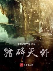 天外之殇封面