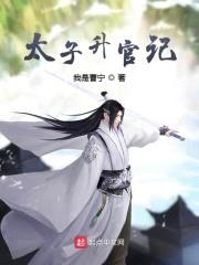 太子升官记封面