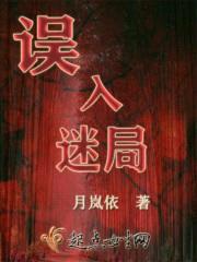 误入迷局封面