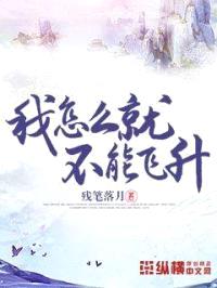 我怎么就不能飞升封面