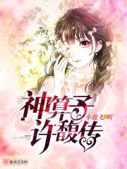 神算子许馥传封面