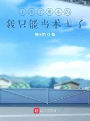 术士你不讲武德封面