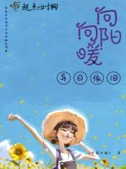 向阳向暖异日依旧封面