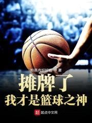 摊牌了我才是篮球之神封面