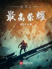 联盟之最高荣耀封面