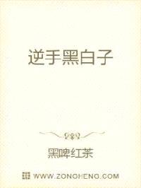 逆手黑白子封面