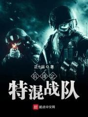 抗战之特混战队封面