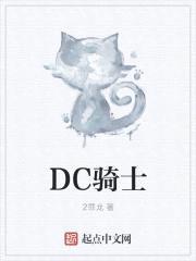 DC骑士封面