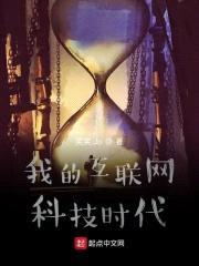 我的互联网科技时代封面