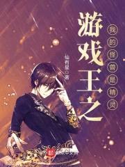 游戏王之我的怪兽是精灵封面