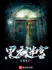 黑夜迷宫封面