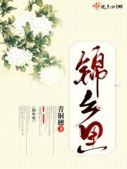 锦乡里封面
