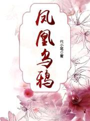 凤凰乌鸦封面