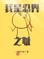 我是忍界之耻封面