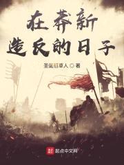 在莽新造反的日子封面