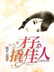 才子撬佳人封面