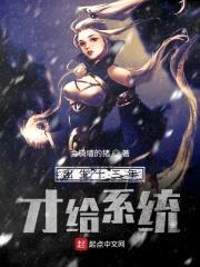 出生十三年才给系统封面