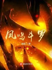 凤鸣斗罗封面
