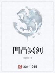 凹凸冥河封面