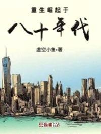 重生崛起于八十年代封面