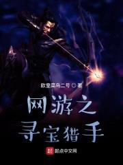 网游之寻宝猎手封面