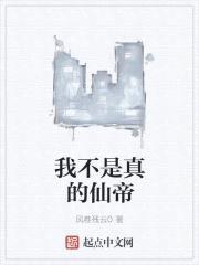 我不是真的仙帝封面
