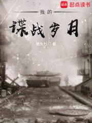 我的谍战岁月封面