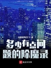 多少有点问题的除魔录封面