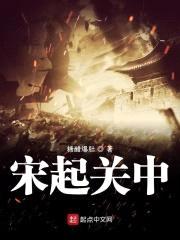 宋起关中封面